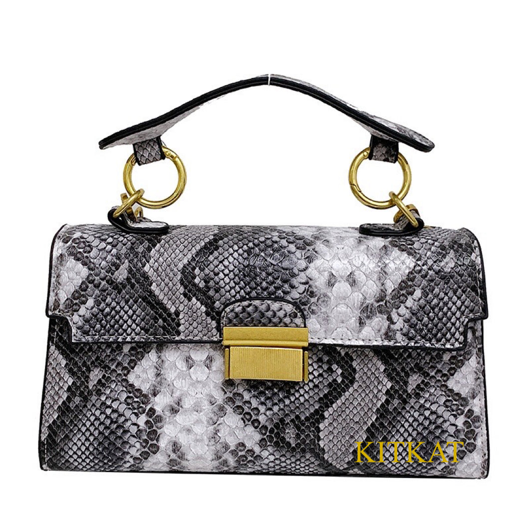 Snakeskin Bag